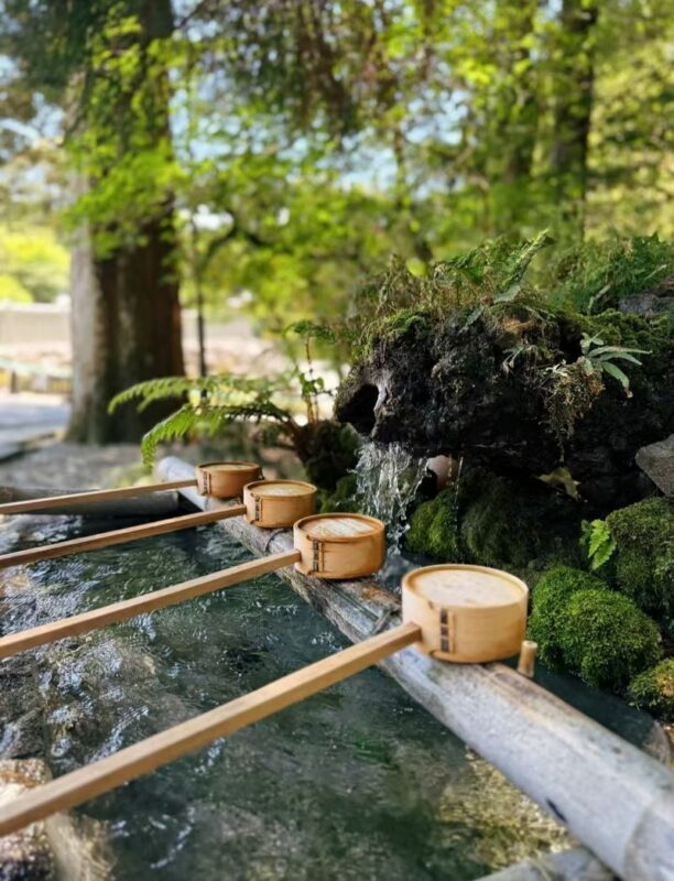 All checked-in Kagoshima Kirishima Line: Boutique small group one-day tour/Myth Park + Shrine Blessing + Maruo Waterfall + Takachiho Ranch Healing Tour - Timing, meeting point, and what to bring