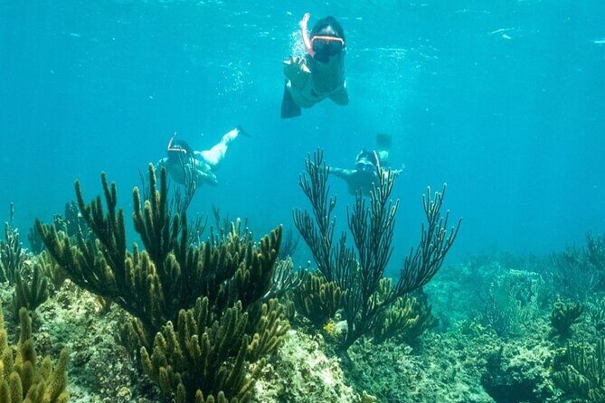 All Day Adventure with a Beach BBQ Feast from Providenciales - Authentic Insights from Travelers