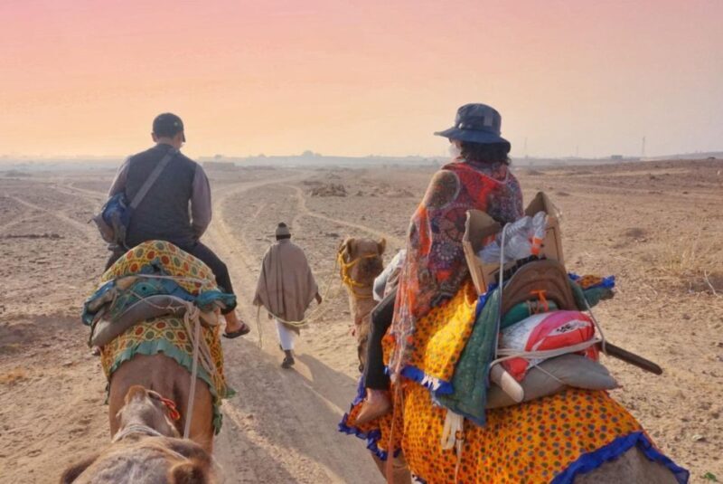 All-Day Desert Safari with Cultural Program - Key Points