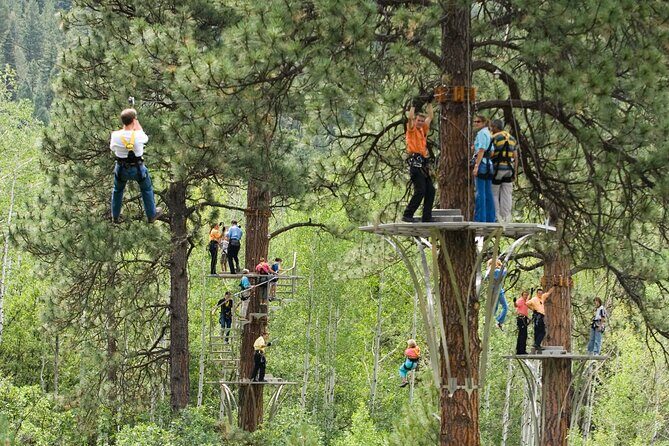 All-Day Guided Zipline Tour with Train Ride and Lunch in Durango - Gourmet Lunch in the Trees