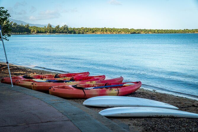 All-Day Paddleboard Rental  Fajardo, Puerto Rico - Detailed Review: An Authentic Water Adventure in Fajardo