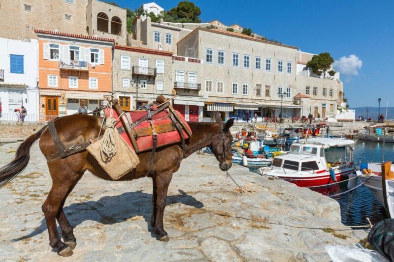 "All-Day Private Excursion to Hydra Island from Athens" - Final Thoughts: Is This Tour for You?