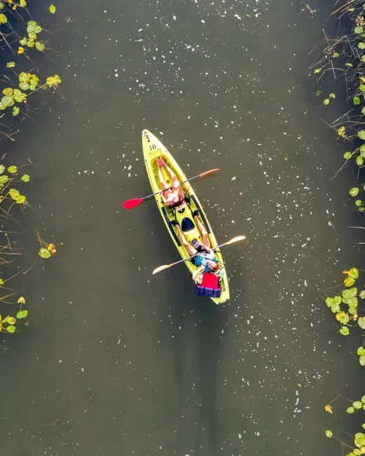 All Day Self-Kayaking to secret spots and wildlife observing - Who Should Consider This Tour