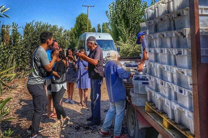 All Day, Small Group, Luxury Wine Tour with Gourmet Lunch - FAQ