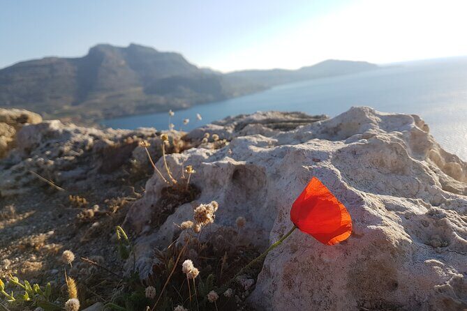 All in One Full Day Rhodes Island Tour for First Time Visitors - Unpacking the Rhodes Day Tour: What to Expect
