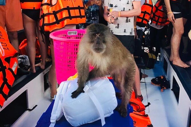 All-in Phi Phi, Maiton, MayaBay, Khai, Bamboo islands Tour - Practical Tips for Your Trip