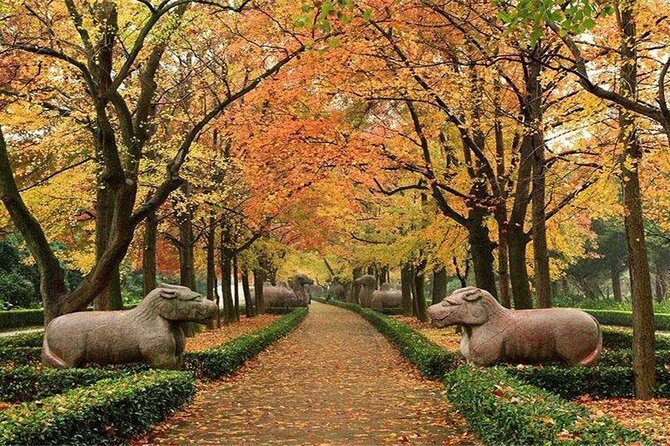 All Inclusive Amazing Nanjing City Highlights Private Day Tour - The Nanjing Tour in Detail: What to Expect