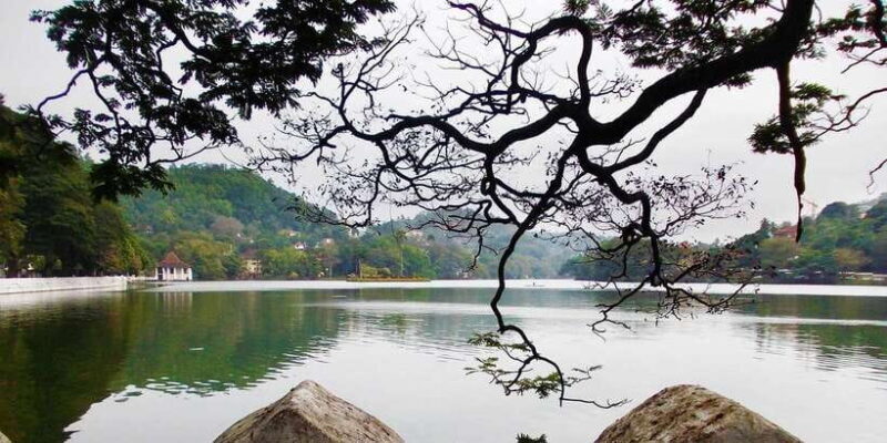 All Inclusive Ambuluwawa Tower & Kandy City Tour by TukTuk - The Sum Up