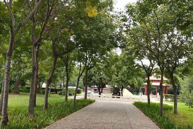 All inclusive Anyang Yin Xu ruins and Character Museum day tour from Zhengzhou - Who Will Love This Tour?