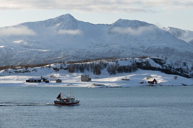 All-Inclusive Arctic Fjords and Sommarøy Scenic Tour - Exploring Arctic Fjords and Sommarøy: A Truly Scenic Norwegian Adventure