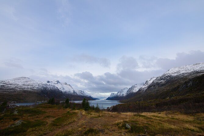 All-Inclusive Arctic Fjords and Sommarøy Scenic Tour - Key Points