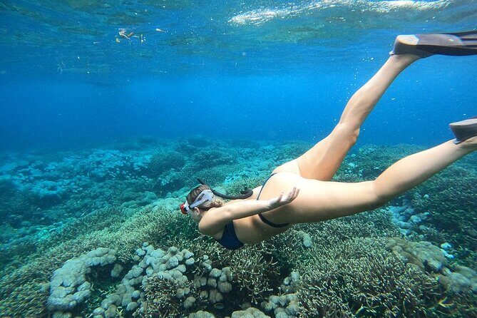 All Inclusive Bali Blue Lagoon and Tanjung Jepun Snorkeling - FAQs