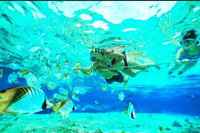 All Inclusive : Bali Blue Lagoon Snorkeling, Lunch, and Transport - Final Thoughts