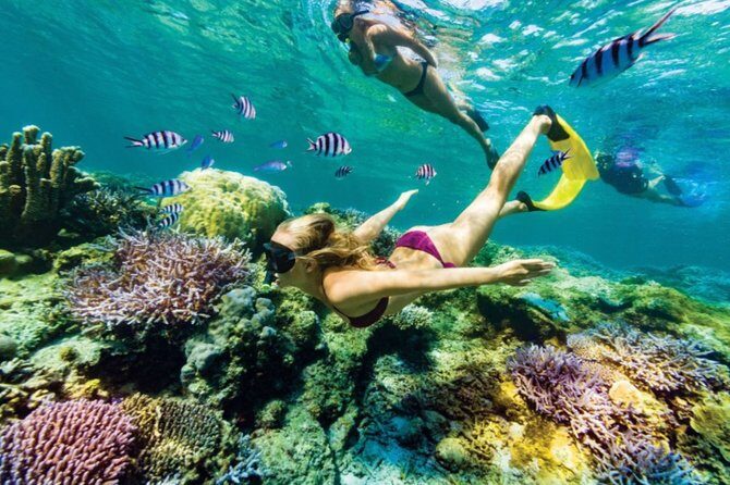 All Inclusive Bali Blue Lagoon Snorkeling with Lunch and Transport - Who Will Love This Tour?