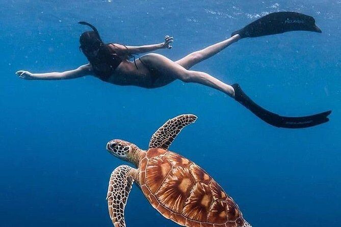 All Inclusive : Bali Blue Lagoon Snorkeling with Lunch &Transfers - Explore Bali’s Underwater World with the All-Inclusive Blue Lagoon Snorkeling Tour