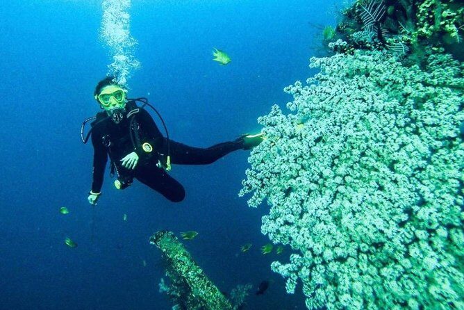 All Inclusive Bali Scuba Diving at Tulamben with Lunch -Transport - Who Will Love This Experience?