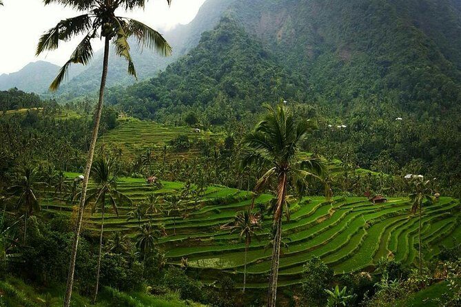 All inclusive Bali Sekumpul Waterfalls Trekking Tour - FAQ