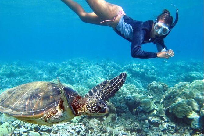 All INCLUSIVE Bali snorkeling at blue lagoon and tanjung jepun - Key Points