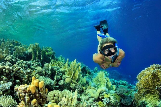 All INCLUSIVE Bali snorkeling at blue lagoon and tanjung jepun - In-Depth Look at the Bali Snorkeling Tour