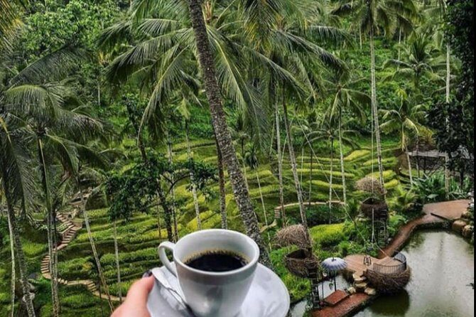 All INCLUSIVE Bali snorkeling at blue lagoon and tanjung jepun - Practical Tips for Your Bali Snorkeling Adventure