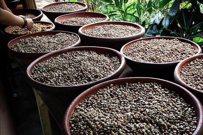 All INCLUSIVE Bali snorkeling at blue lagoon and tanjung jepun - Who Should Consider This Tour?