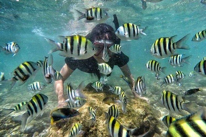 All Inclusive Bali Snorkeling Blue Lagoon tour experience - Final Thoughts: Is It Worth It?