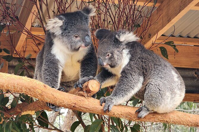 All-Inclusive Boutique 2 Day Kangaroo Island Tour - The Value of an All-Inclusive Tour