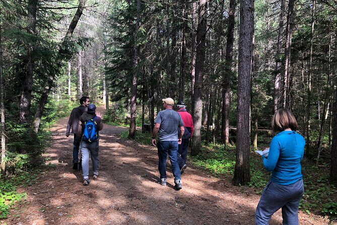 All-Inclusive Camp & Tube At Elora Gorge (2 Day) - Key Points