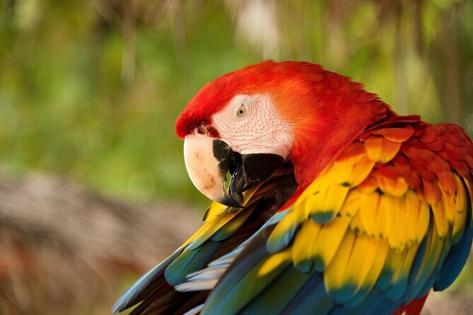 All Inclusive Catamaran Day Tour to Tortuga Island - Who Would Love This Tour?