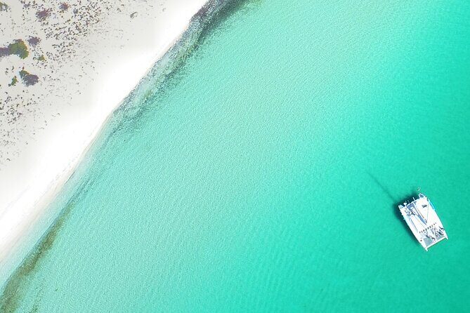 All-Inclusive catamaran Espiritu Santo Island Tour from Los Cabos - In The Sum Up