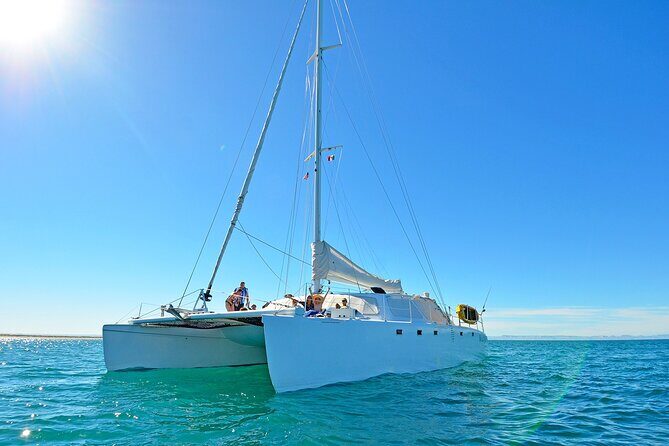 All-Inclusive catamaran Espiritu Santo Island Tour from Los Cabos - FAQ