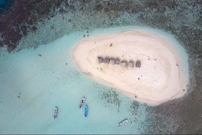 All-Inclusive Cayo Arena Day trip from Santo Domingo - Key Points