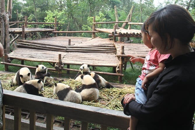 All-Inclusive Chengdu Highlight Panda Trip and Customizable Sites - FAQs