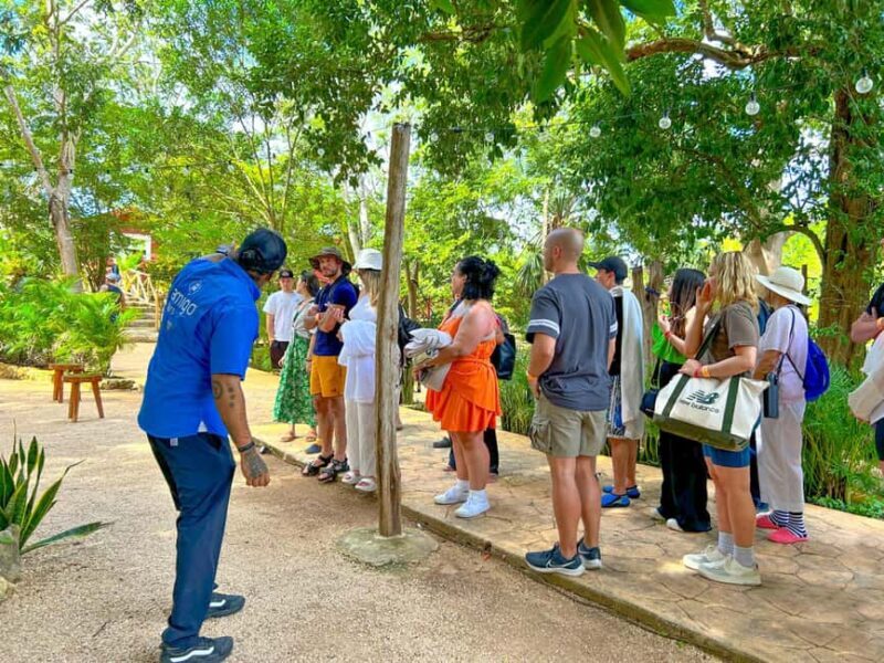 All-Inclusive: Chichen Itza & Cenote from Cancun - Key Points