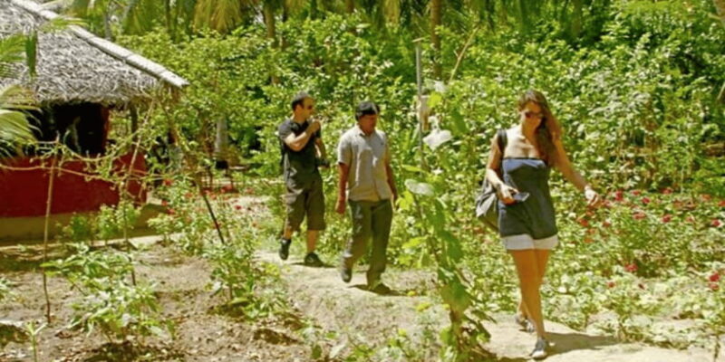All-Inclusive Dambulla Village Tour with Traditional Lunch - A Closer Look at the Dambulla Village Tour