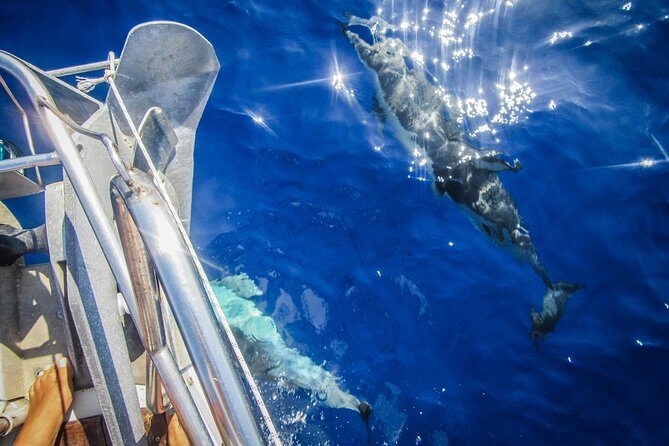 All inclusive day sailing tour from Naxos to the small cyclades - In-Depth Look at the Itinerary and Stops