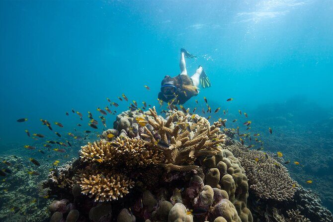 All Inclusive Day Tour to Frankland Islands Great Barrier Reef - Final Thoughts: Is This Tour Right for You?