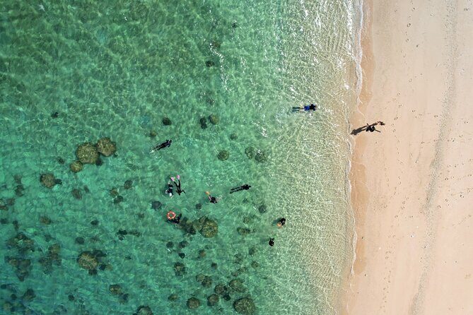 All Inclusive Day Tour to Frankland Islands Great Barrier Reef - FAQs