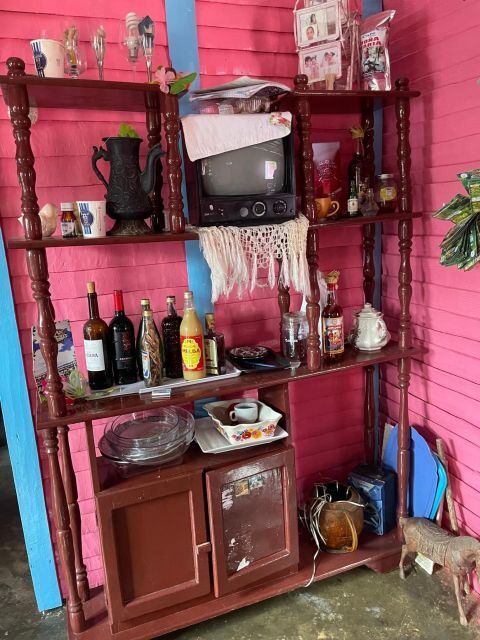 All-Inclusive Day Trip from Punta Cana: DR Culture Immersion - Real Traveler Insights