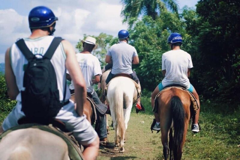 All-Inclusive Day Trip from Punta Cana: DR Culture Immersion - FAQ