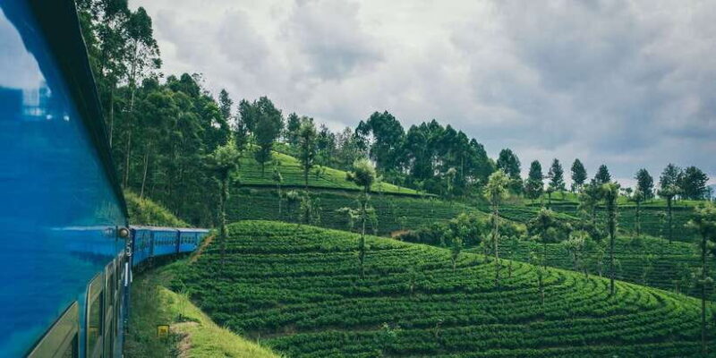 All Inclusive Ella From/To Kandy Scenic Train Journey - A Deep Dive Into the Scenic Journey