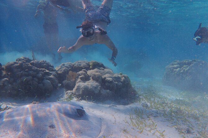 All-Inclusive Full-Day Hol Chan Snorkeling Tour - All-Inclusive Full-Day Hol Chan Snorkeling Tour: An Authentic Belizean Underwater Escape
