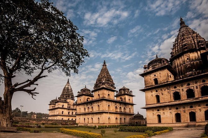 All Inclusive Full Day Sightseeing Tour of Orchha - Practical Details and Value