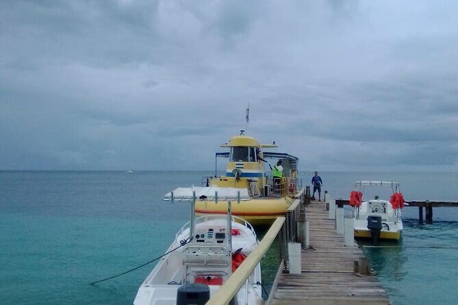 All inclusive Glass Bottom boat Wild life encounter and Beach - FAQ