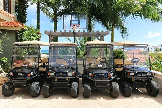 All Inclusive Golf Cart Xperience - Perfect Cruise Shore Xcursion - Who Will Love This Tour?