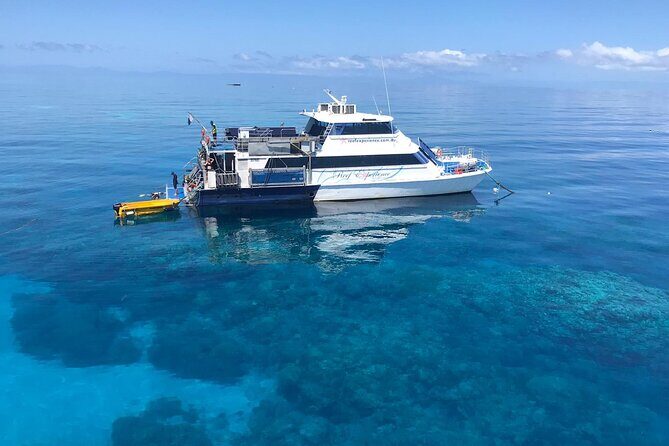 All Inclusive Great Barrier Reef Cruise w optional Scuba Diving - Discover the Great Barrier Reef: An All-Inclusive Day from Cairns