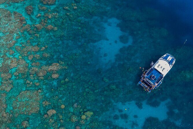 All Inclusive Great Barrier Reef Cruise w optional Scuba Diving - Key Points