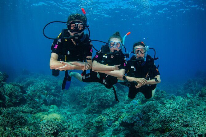 All Inclusive Great Barrier Reef Cruise w optional Scuba Diving - Who Will Love This Tour?