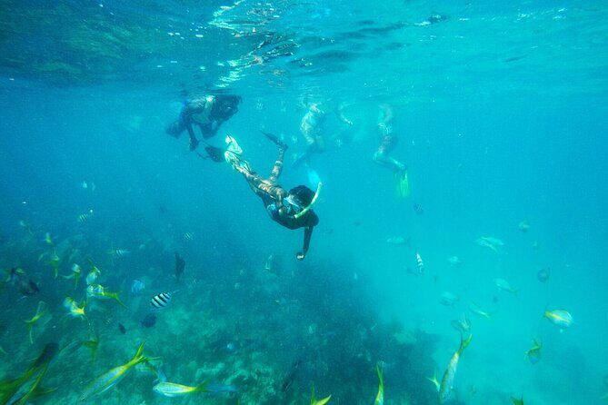 All Inclusive Half Day Sail and Snorkel - Overview of the All Inclusive Half Day Sail and Snorkel