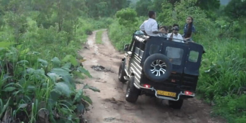 All-Inclusive Hiriwadunna Experience with Traditional Lunch. - Who Will Love This Tour?